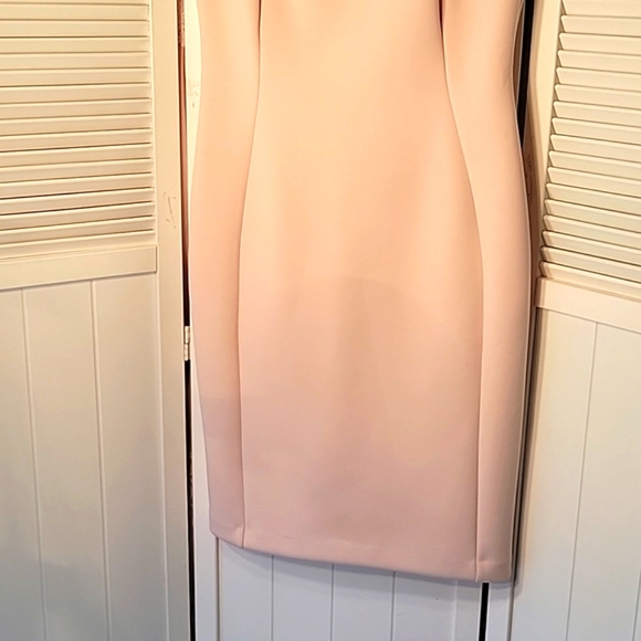 Calvin Klein Blush Pink Gormet Neck Sheath Dress SZ8 - Picture 3 of 5